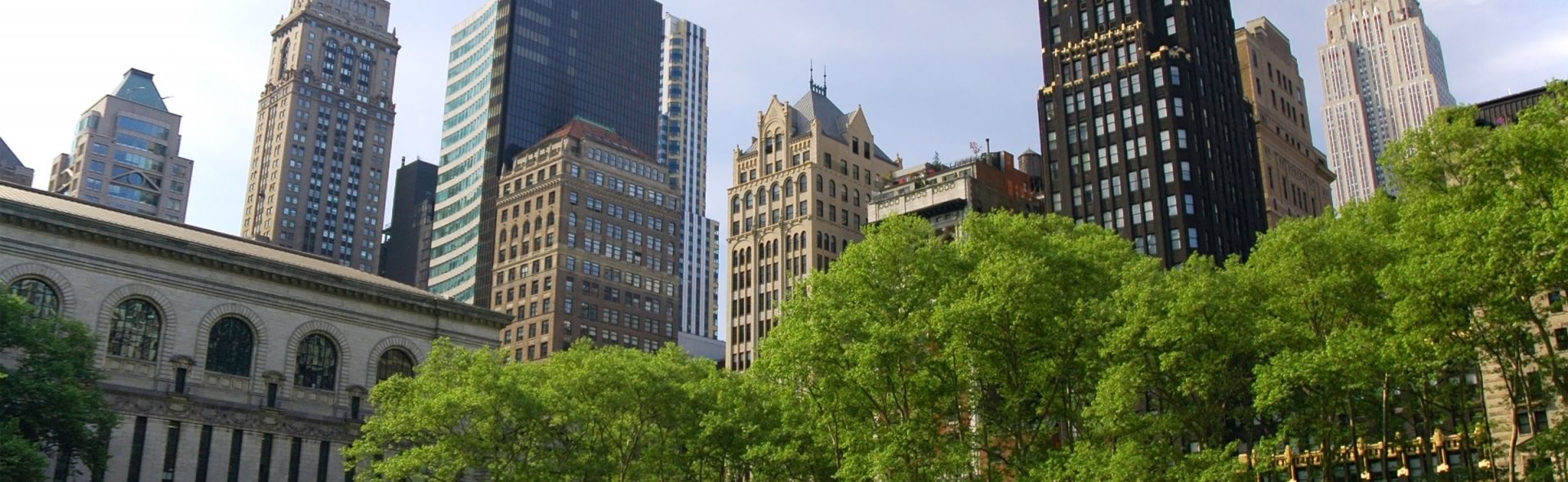 Image of greenery and New York buildings