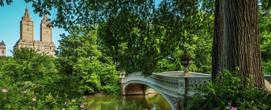 Summer Night on Us - Central Park View