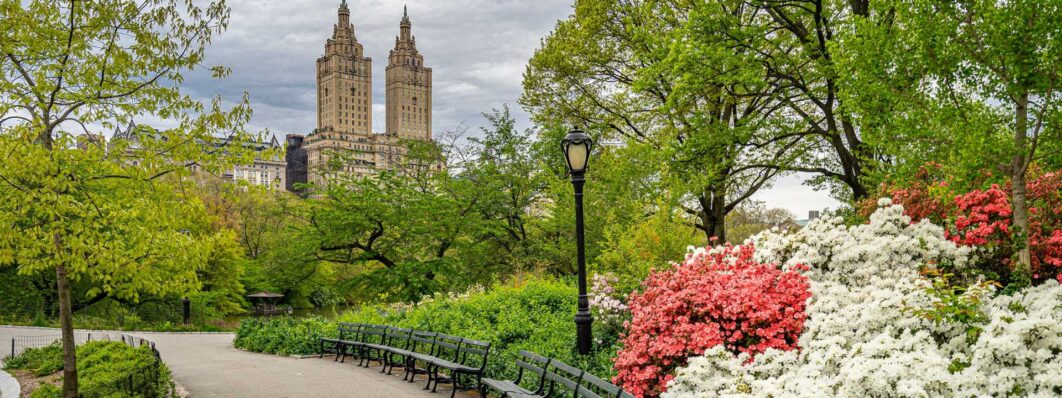 Lush greenery and flowers in Central Park.