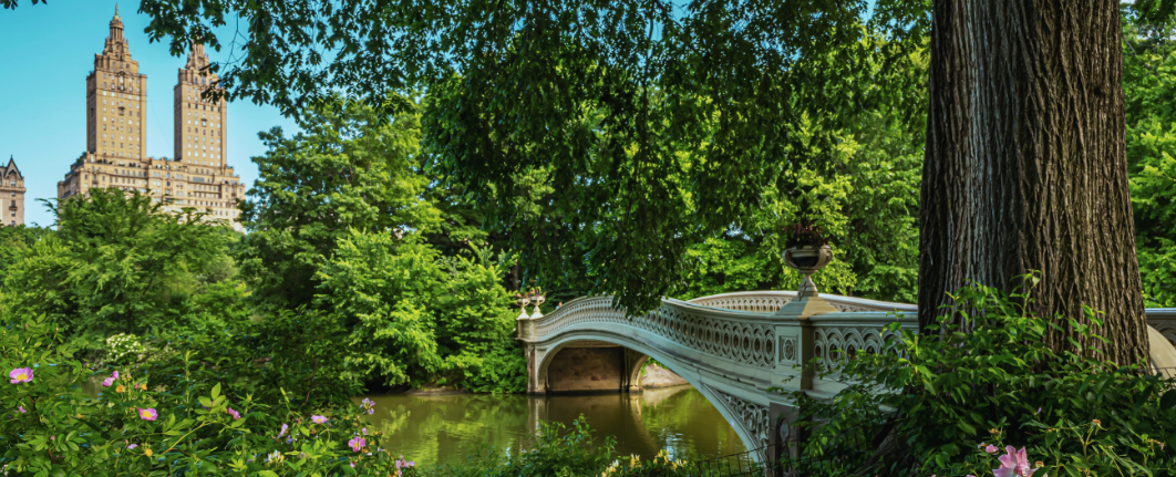 central park bridge