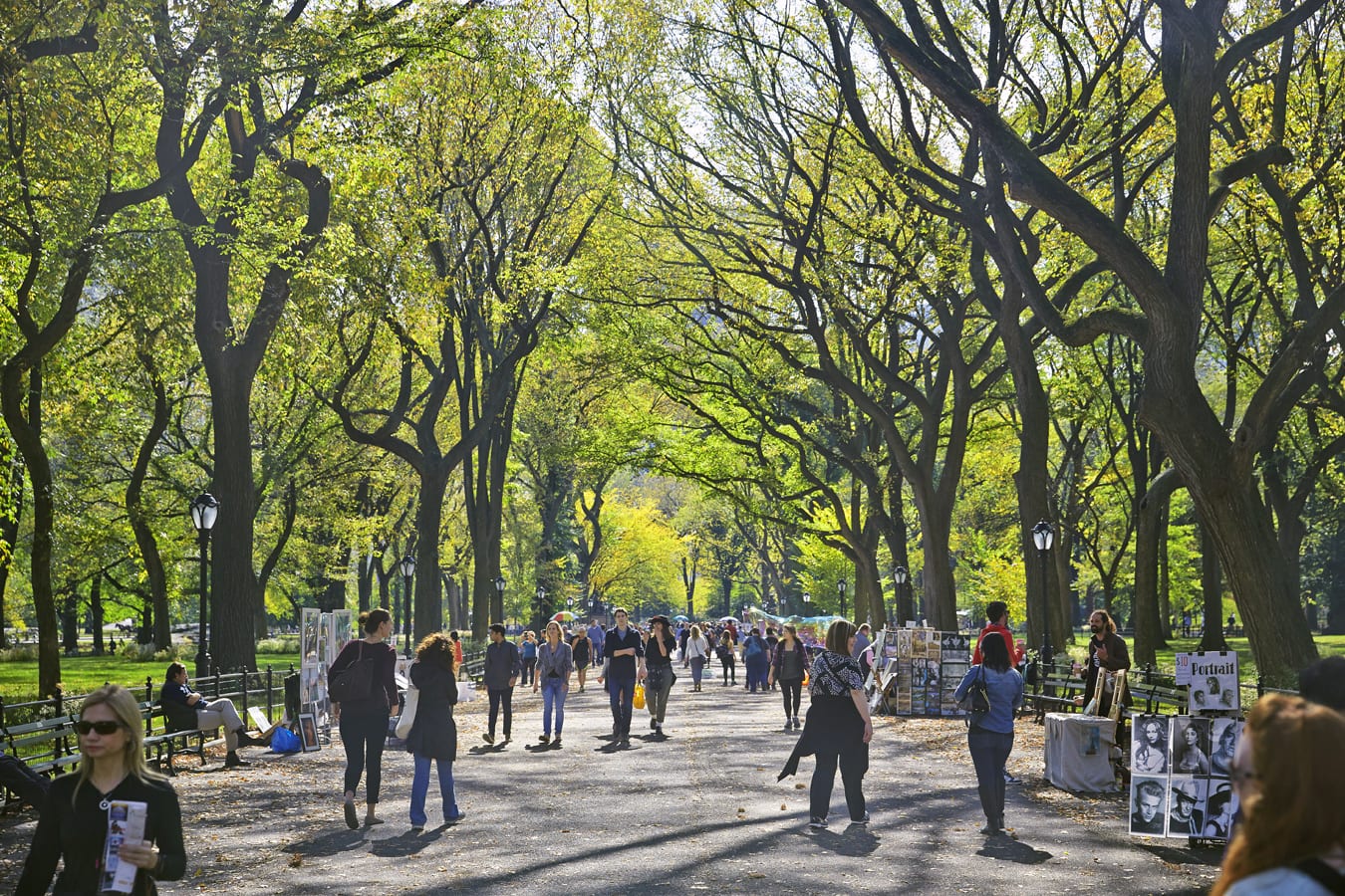 Tree-lined park path with people strolling.