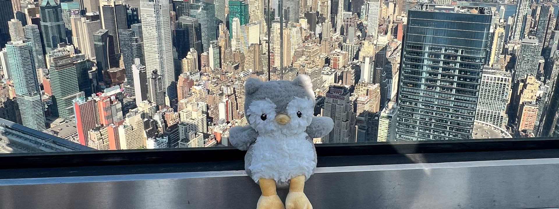 Stuffed owl toy with a city skyline view from a high-rise.