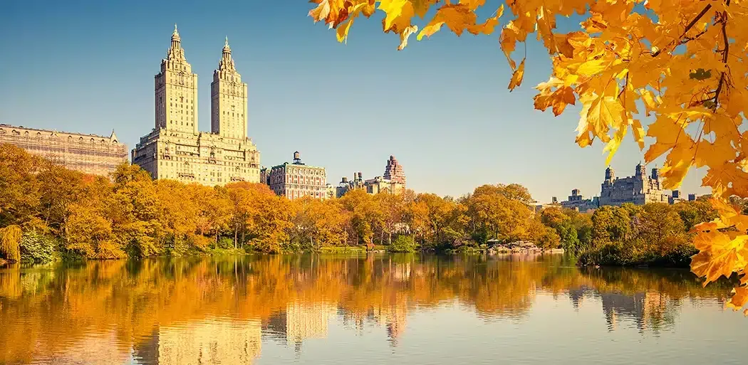 Golden autumn leaves with city skyline.